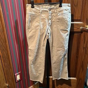 Sage/Green GAP cropped